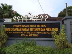 Diduga Manipulasi Anggaran, DKPPP Kota Metro Disorot