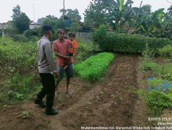 Lewat Bhabinkamtibmas, Polres Metro Dukung Ketahanan Pangan