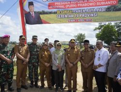 Gebernur Lampung Rahmad Mirzani Djausal Panen Raya di kelurahan Adipuro Kecamatan Trimurjo Lampung Tengah