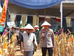 Polres Lampung Tengah Gelar Panen Raya Jagung Serentak Dukung Ketahanan Pangan Nasional