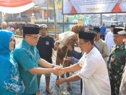 Tingkatkan Rasa Persaudaraan, Polda Lampung Salurkan 58 Hewan Kurban di Iduladha 1446 H