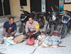 Grebek Arena Judi Sabung Ayam, Polsek Trimurjo Amankan 4 Sepeda Motor