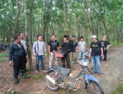 Polres Lampung Timur Gerebek Judi Sambung Ayam Di Labuhan Ratu
