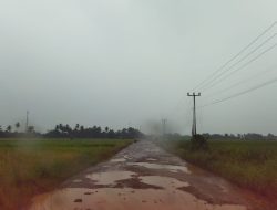 Jalan Jalan Poros dikecamatan Trimurjo, Jalur Vital Siswa ke SMAN 1-SMKN 1-SMPN 1 dan 2 Trimurjo Rusak Parah, Butuh Perhatian