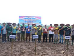 Dukung Program Ketahanan Pangan Pemerintah, Polres Lampung Timur Laksanakan Penanaman Jagung Serentak Kuartal I Tahun 2026