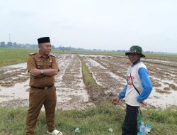 Lurah Adipuro Manfaatkan Sumberdaya Alam Untuk Kepentingan Masyarakat