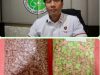Satresnarkoba Polres Lampung Tengah Gagalkan Penyelundupan Ribuan Pil Ekstasi Jaringan Lintas Provinsi