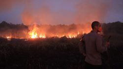 Titik Api Di Kawasan Way Kambas, Kapolres Lamtim Terjun Padamkan