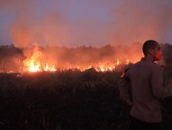 Titik Api Di Kawasan Way Kambas, Kapolres Lamtim Terjun Padamkan